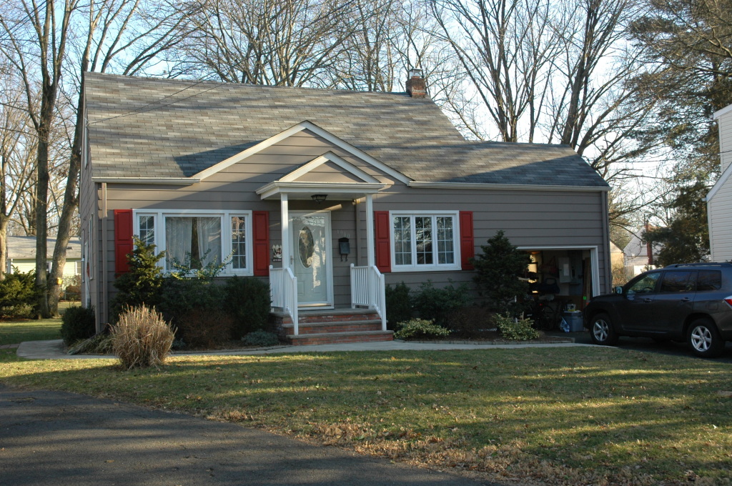 Birch project image