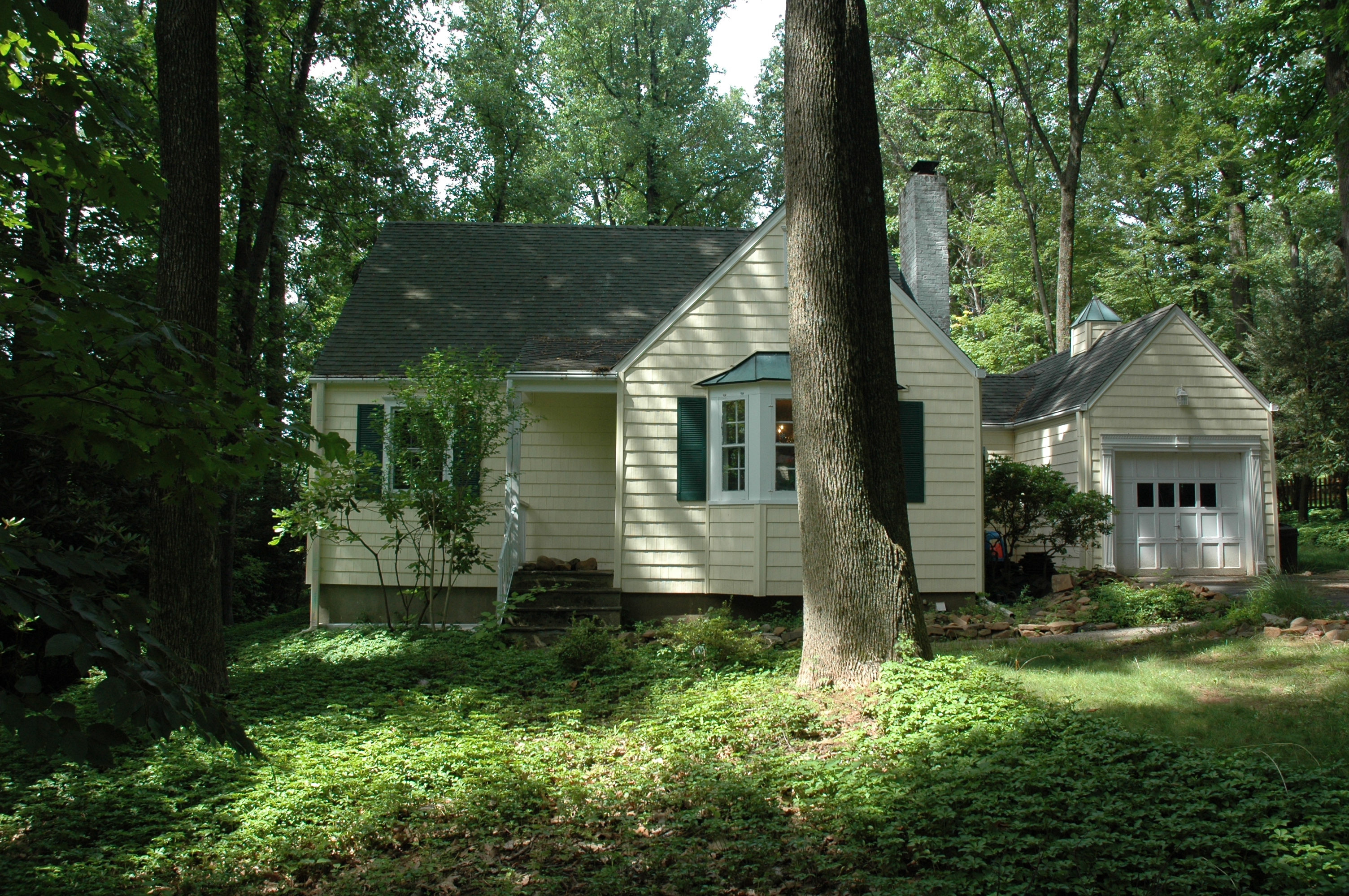 Tuttle project image
